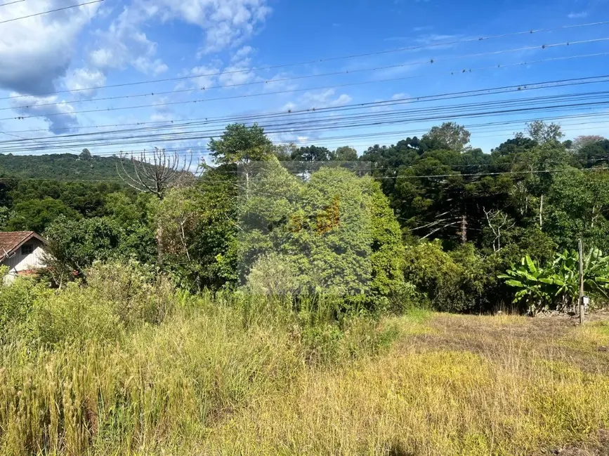 Foto 2 de Terreno / Lote à venda, 480m2 em Nova Petropolis - RS