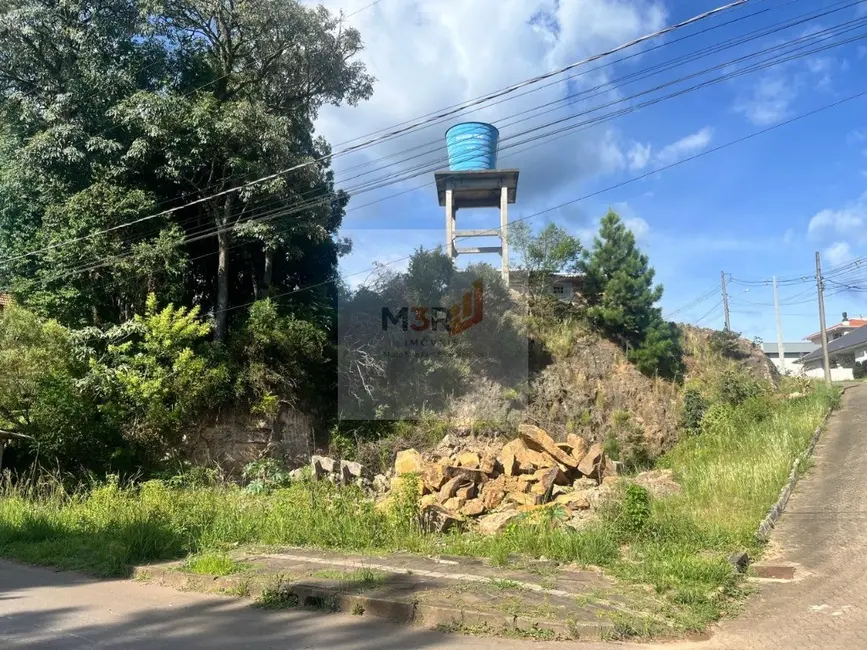 Foto 1 de Terreno / Lote à venda, 606m2 em Nova Petropolis - RS