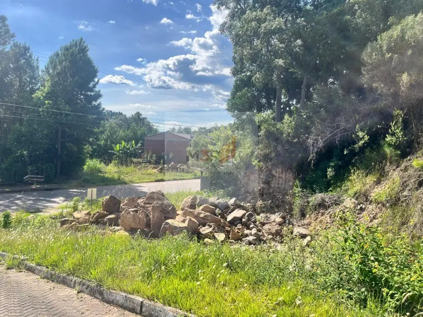 Foto 3 de Terreno / Lote à venda, 606m2 em Nova Petropolis - RS