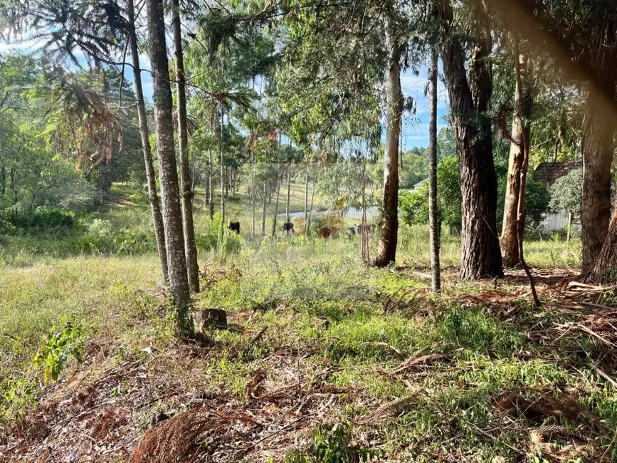 Foto 2 de Terreno / Lote à venda, 434m2 em Nova Petropolis - RS