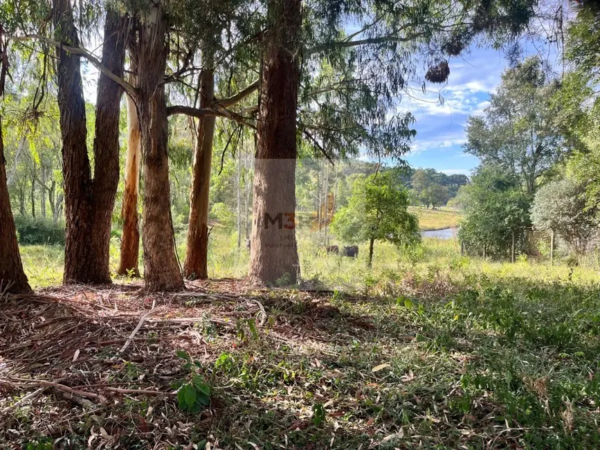 Foto 4 de Terreno / Lote à venda, 434m2 em Nova Petropolis - RS