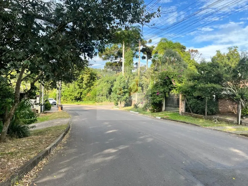 Foto 4 de Terreno / Lote à venda, 513m2 em Nova Petropolis - RS