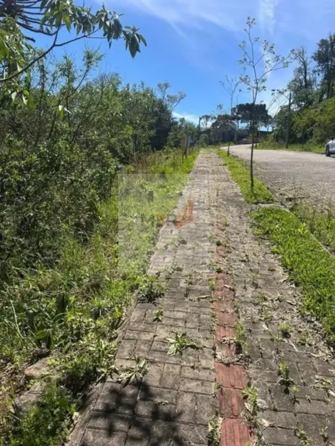 Terreno / Lote à venda, 378m2 em Nova Petropolis - RS - imagem 1 Foto 1 de Terreno / Lote à venda, 378m2 em Nova Petropolis - RS