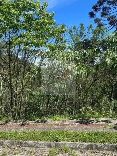 Terreno / Lote à venda, 378m2 em Nova Petropolis - RS - imagem 2 Foto 2 de Terreno / Lote à venda, 378m2 em Nova Petropolis - RS