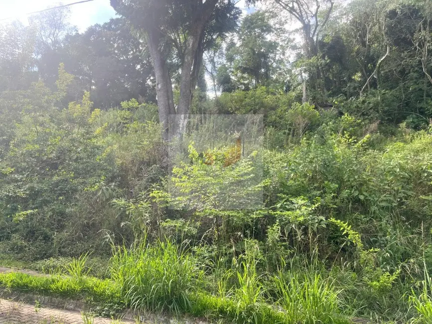 Foto 2 de Terreno / Lote à venda, 444m2 em Nova Petropolis - RS