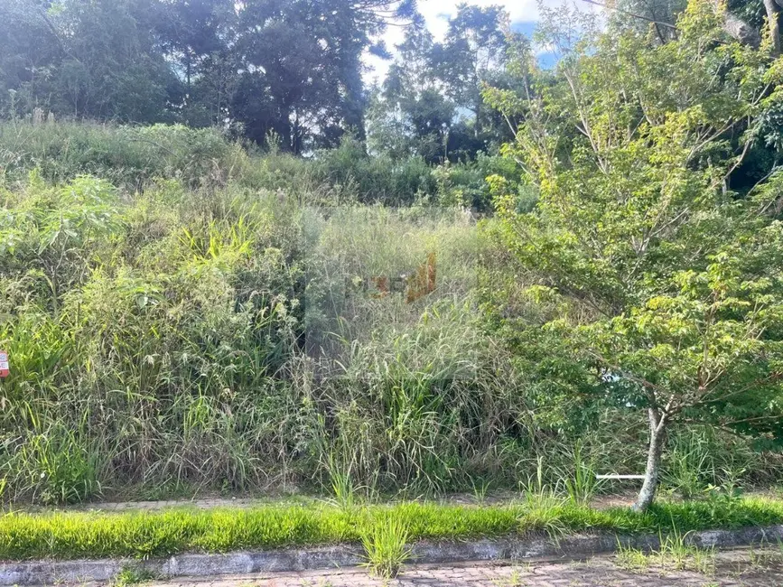 Foto 2 de Terreno / Lote à venda, 468m2 em Nova Petropolis - RS