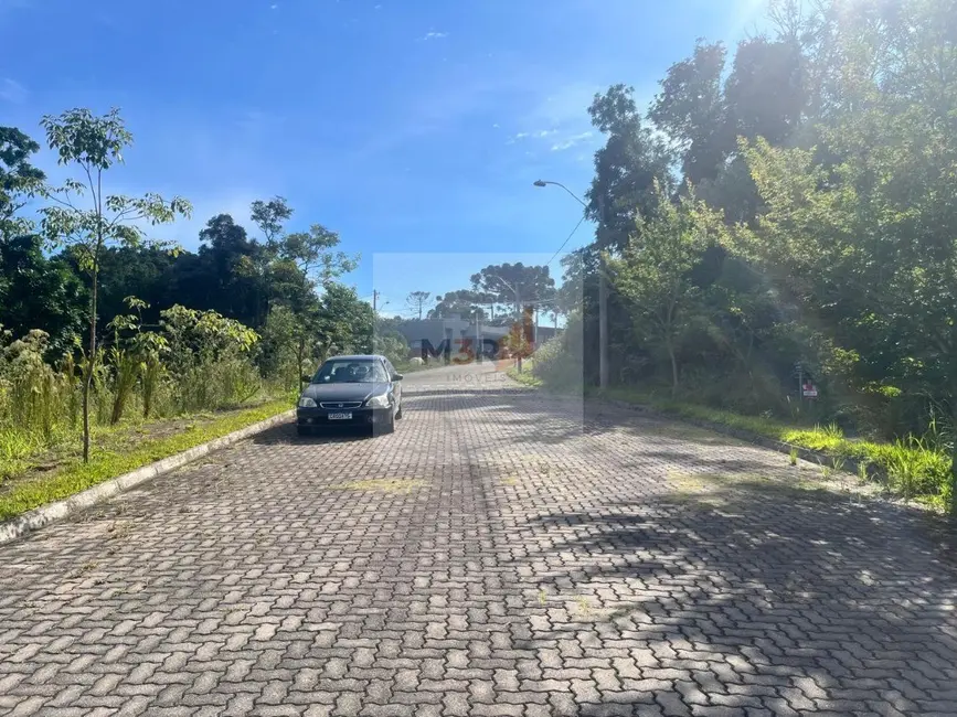 Foto 4 de Terreno / Lote à venda, 468m2 em Nova Petropolis - RS