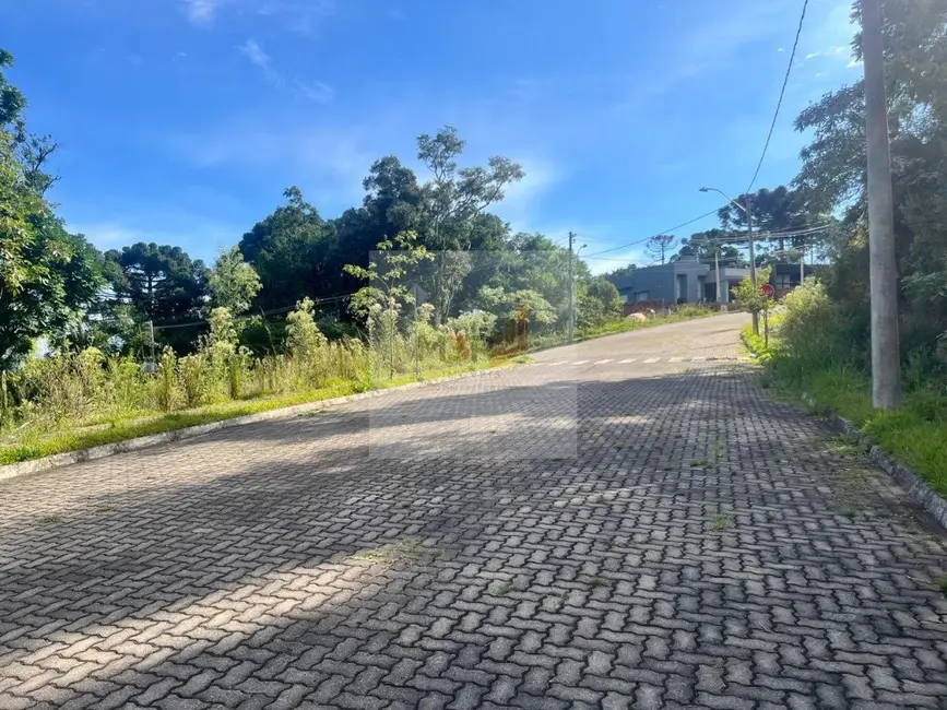 Foto 4 de Terreno / Lote à venda, 520m2 em Nova Petropolis - RS