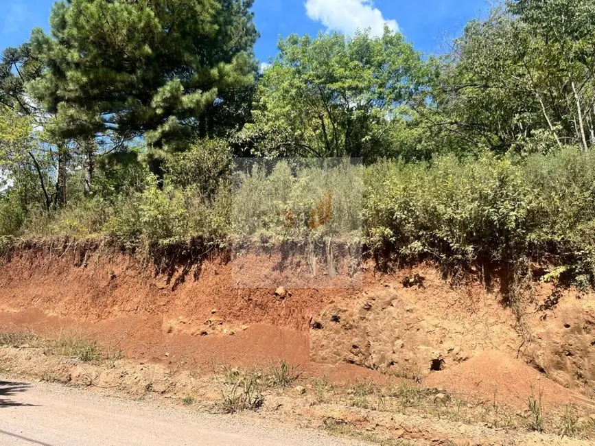 Foto 1 de Terreno / Lote à venda, 373m2 em Nova Petropolis - RS