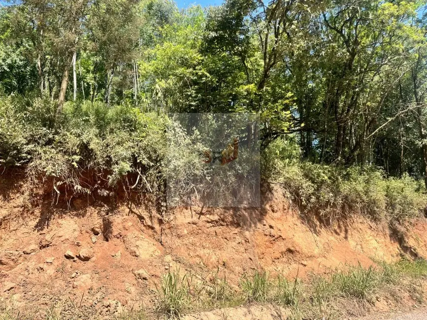 Foto 2 de Terreno / Lote à venda, 385m2 em Nova Petropolis - RS