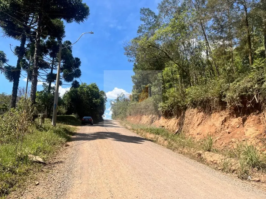 Foto 2 de Terreno / Lote à venda, 391m2 em Nova Petropolis - RS