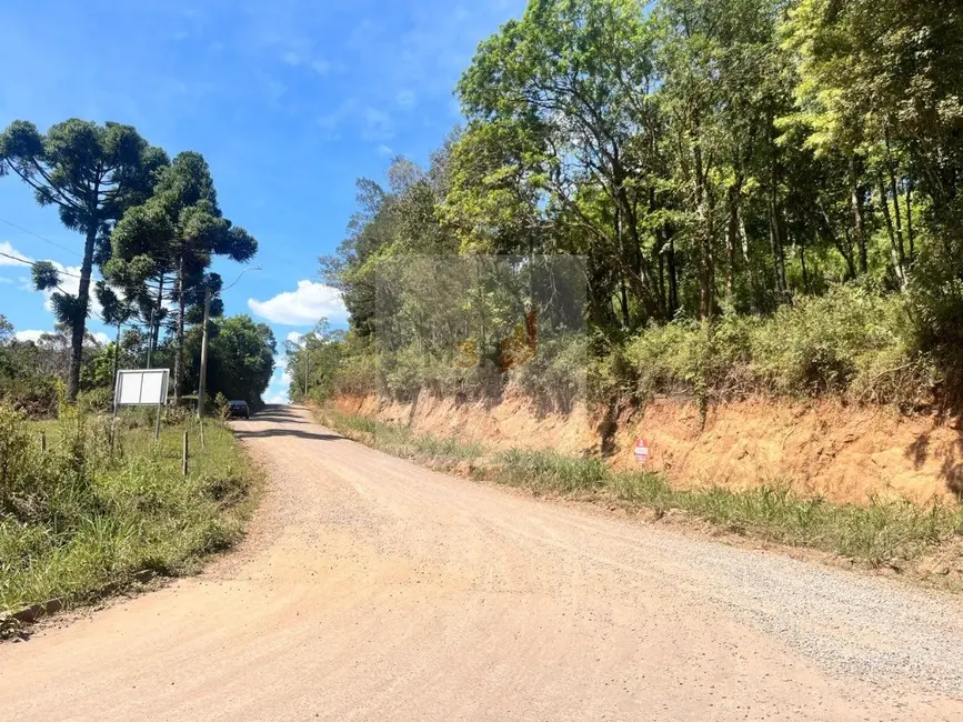 Foto 3 de Terreno / Lote à venda, 388m2 em Nova Petropolis - RS