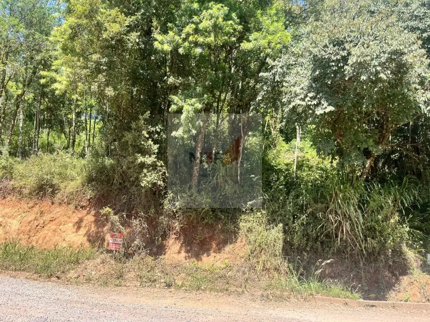Foto 2 de Terreno / Lote à venda, 388m2 em Nova Petropolis - RS