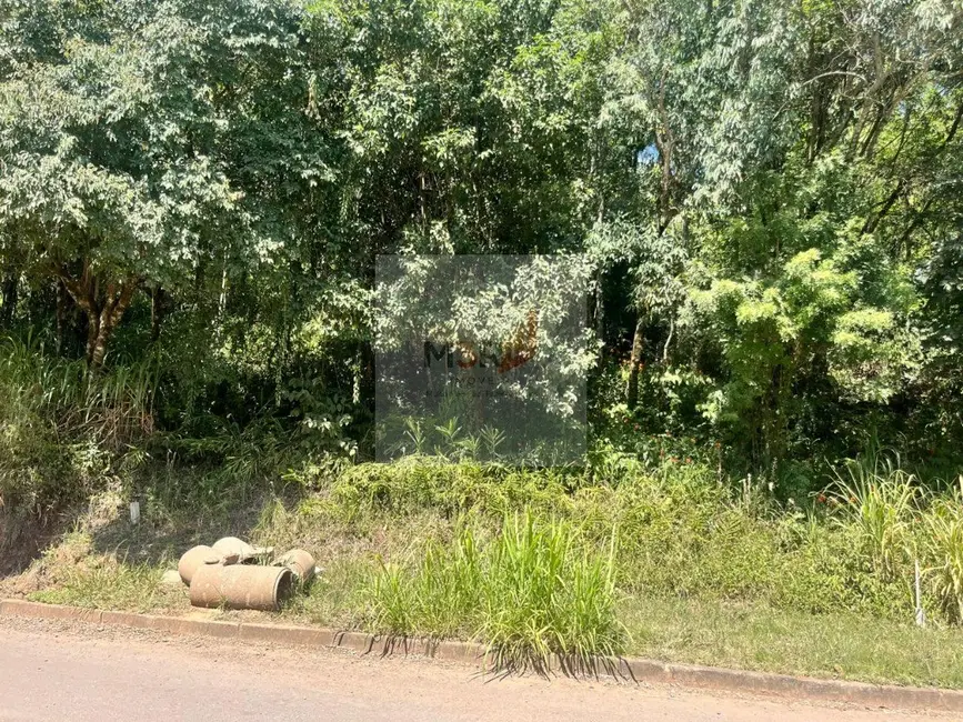 Foto 2 de Terreno / Lote à venda, 377m2 em Nova Petropolis - RS