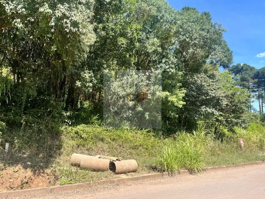 Foto 1 de Terreno / Lote à venda, 377m2 em Nova Petropolis - RS