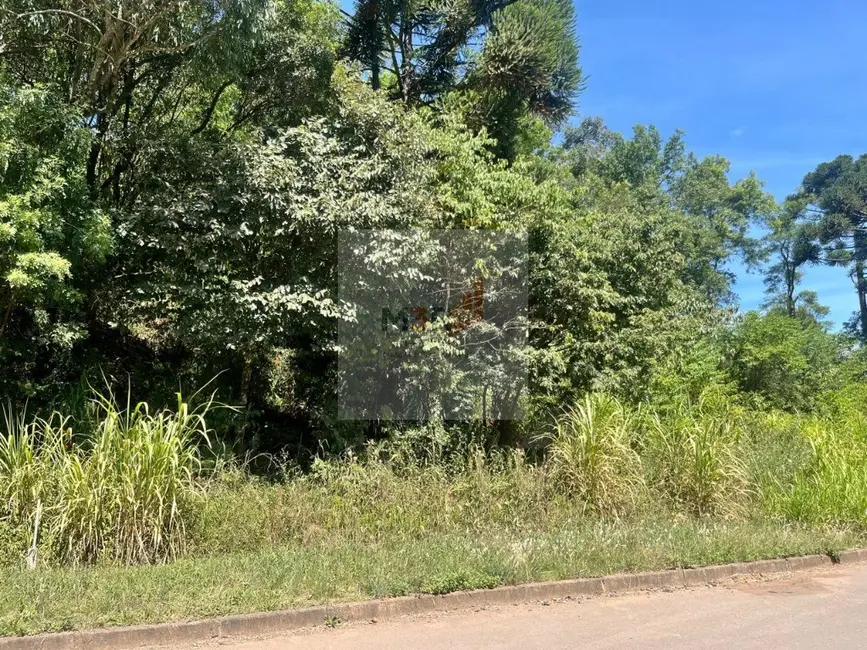 Foto 1 de Terreno / Lote à venda, 388m2 em Nova Petropolis - RS