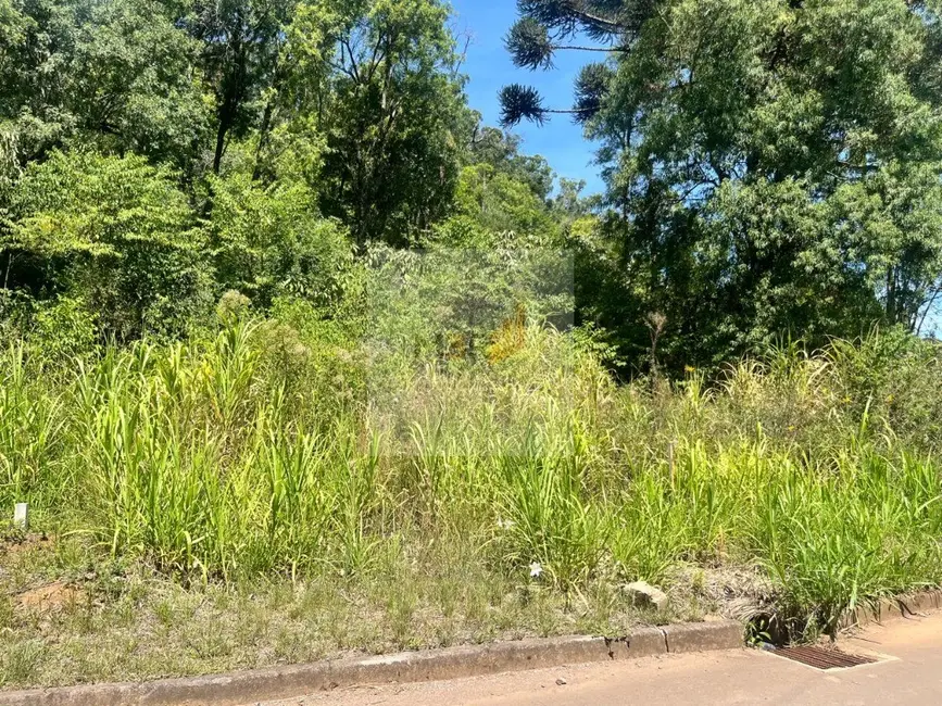 Foto 1 de Terreno / Lote à venda, 543m2 em Nova Petropolis - RS