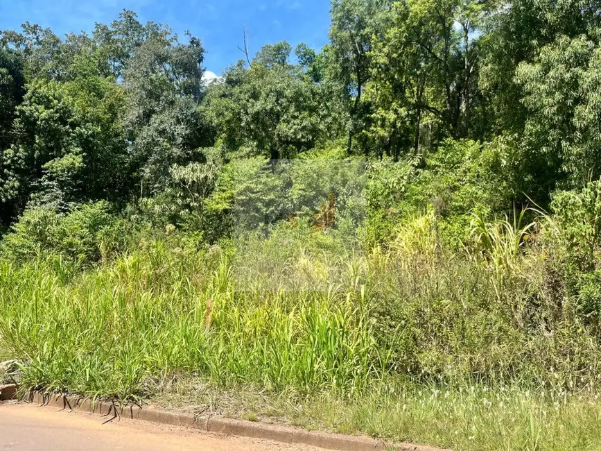 Foto 2 de Terreno / Lote à venda, 543m2 em Nova Petropolis - RS