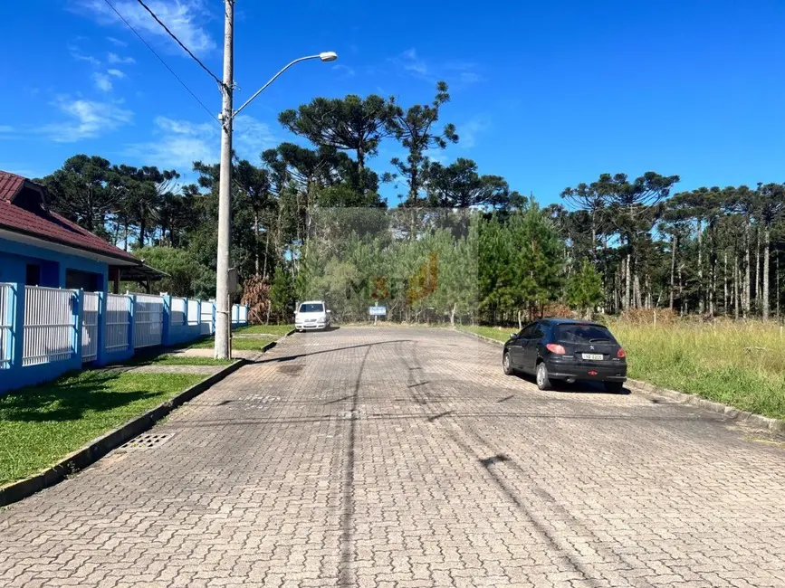 Foto 3 de Casa com 3 quartos à venda, 93m2 em Nova Petropolis - RS