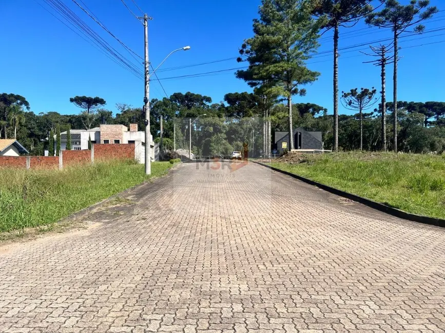 Foto 4 de Casa com 3 quartos à venda, 93m2 em Nova Petropolis - RS