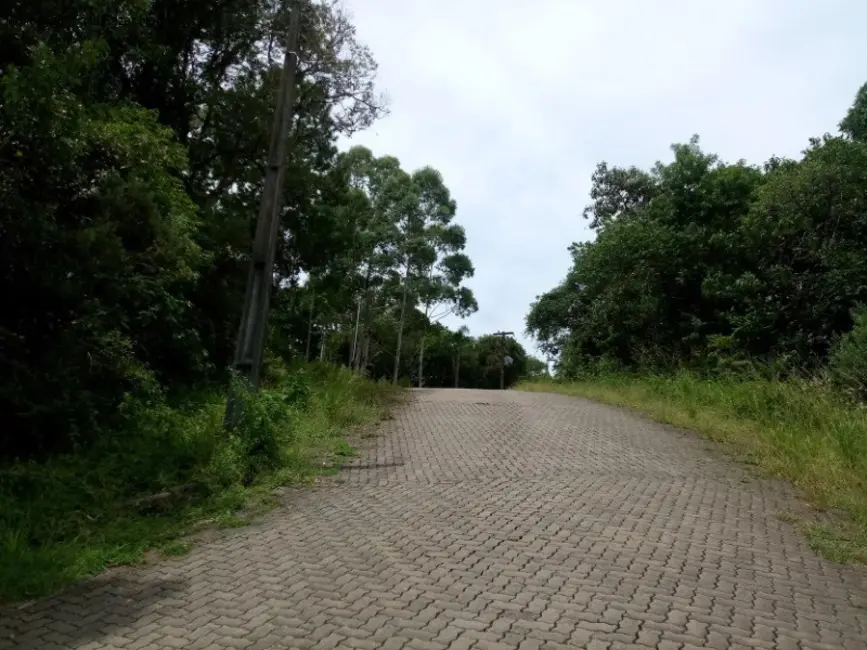Terreno / Lote à venda, 409m2 em Nova Petropolis - RS - imagem 2 Foto 2 de Terreno / Lote à venda, 409m2 em Nova Petropolis - RS