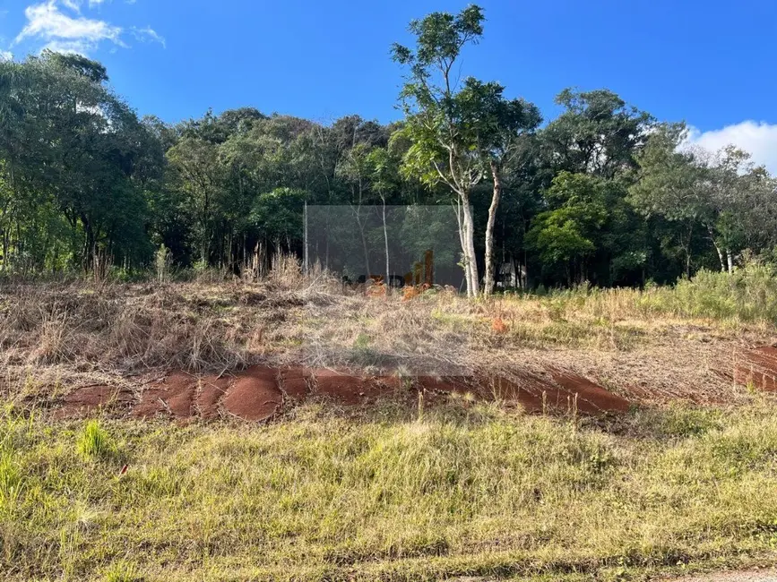 Foto 3 de Terreno / Lote à venda, 374m2 em Nova Petropolis - RS