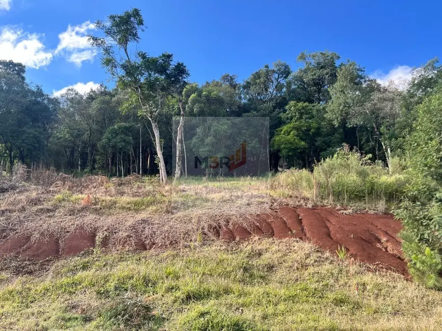 Foto 2 de Terreno / Lote à venda, 374m2 em Nova Petropolis - RS