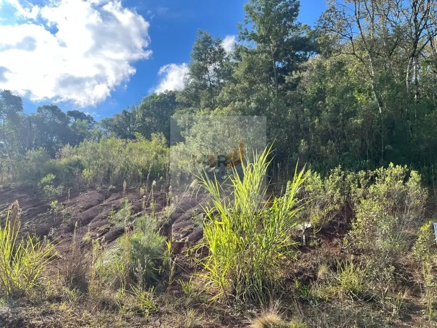 Foto 1 de Terreno / Lote à venda, 410m2 em Nova Petropolis - RS