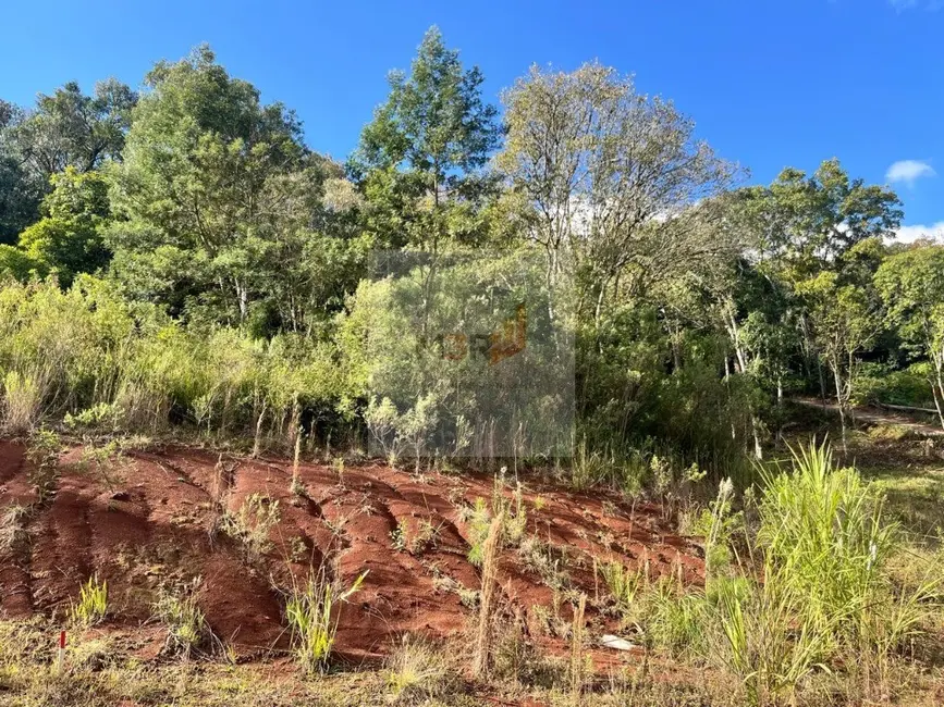 Foto 2 de Terreno / Lote à venda, 410m2 em Nova Petropolis - RS