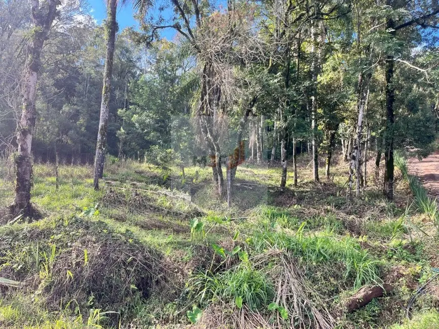Foto 2 de Terreno / Lote à venda, 494m2 em Nova Petropolis - RS