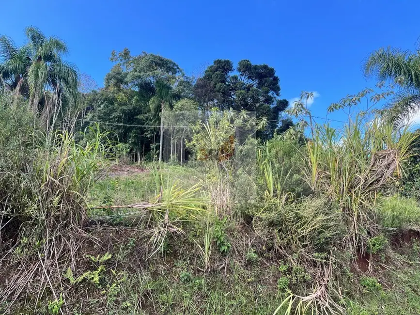 Foto 1 de Terreno / Lote à venda, 369m2 em Nova Petropolis - RS