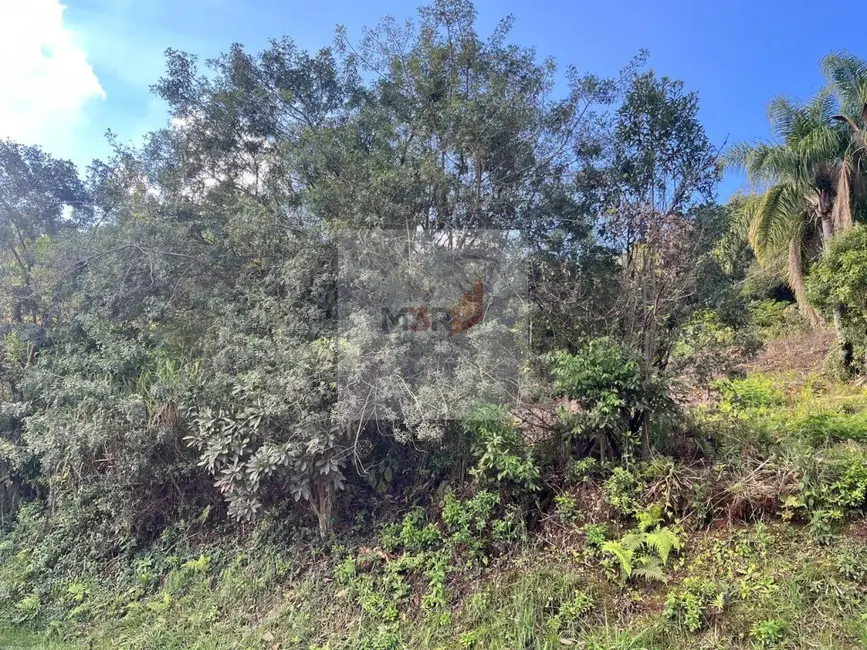 Foto 2 de Terreno / Lote à venda, 369m2 em Nova Petropolis - RS