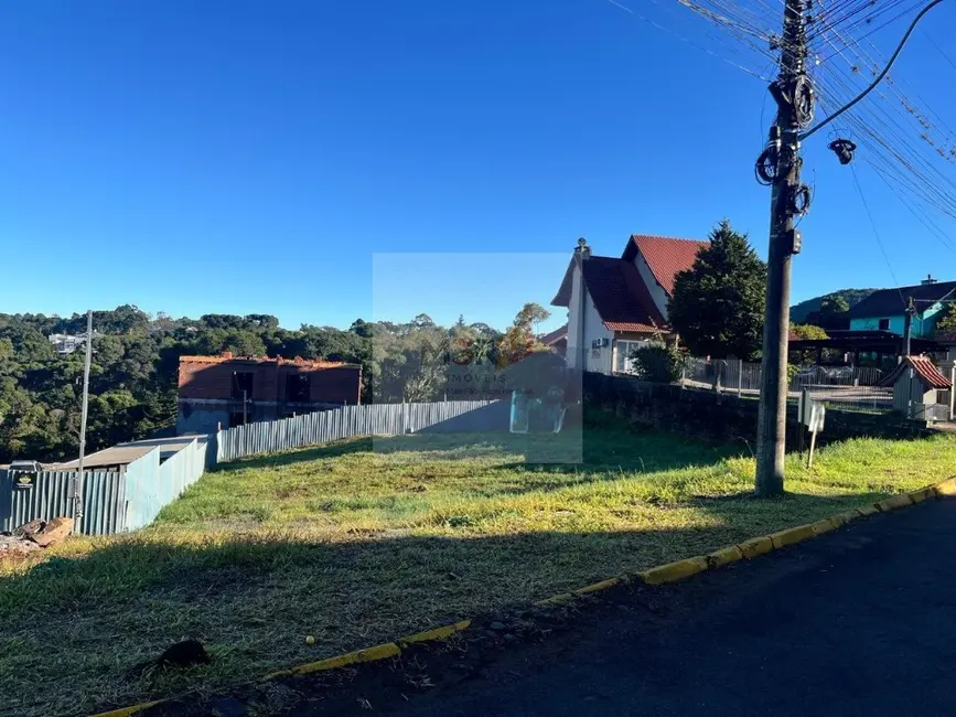 Foto 2 de Terreno / Lote à venda, 389m2 em Nova Petropolis - RS