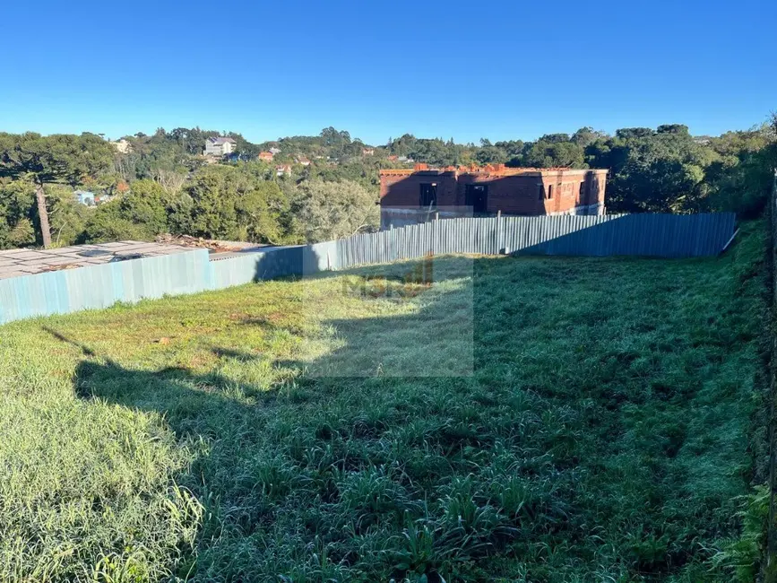 Foto 4 de Terreno / Lote à venda, 862m2 em Nova Petropolis - RS