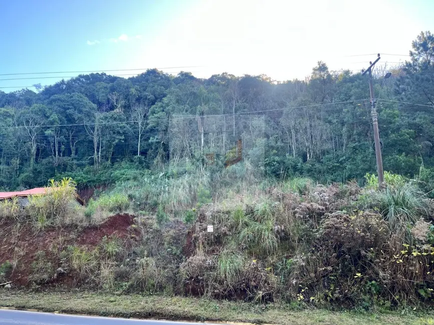 Foto 3 de Terreno / Lote à venda, 420m2 em Nova Petropolis - RS