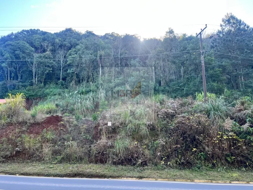 Foto 2 de Terreno / Lote à venda, 420m2 em Nova Petropolis - RS