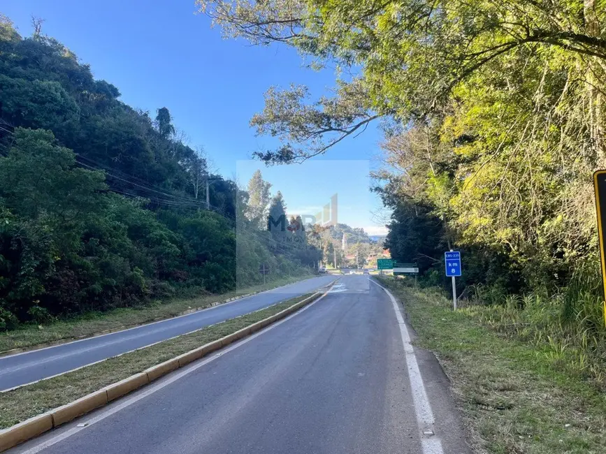 Foto 4 de Terreno / Lote à venda, 420m2 em Nova Petropolis - RS