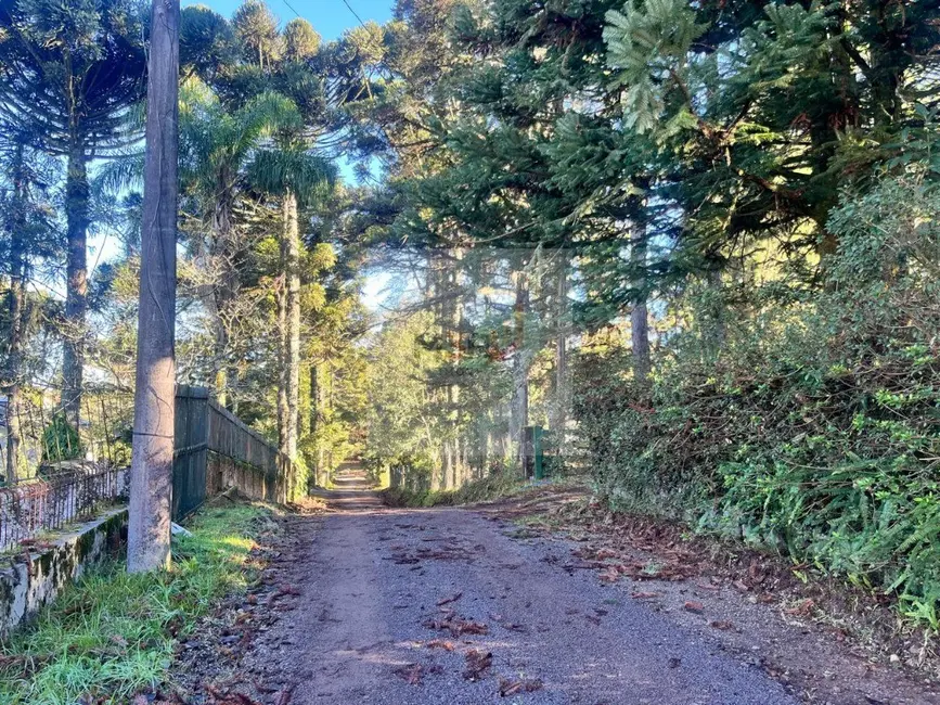 Terreno / Lote à venda, 500m2 em Centro, Nova Petropolis - RS - imagem 4 Foto 4 de Terreno / Lote à venda, 500m2 em Centro, Nova Petropolis - RS
