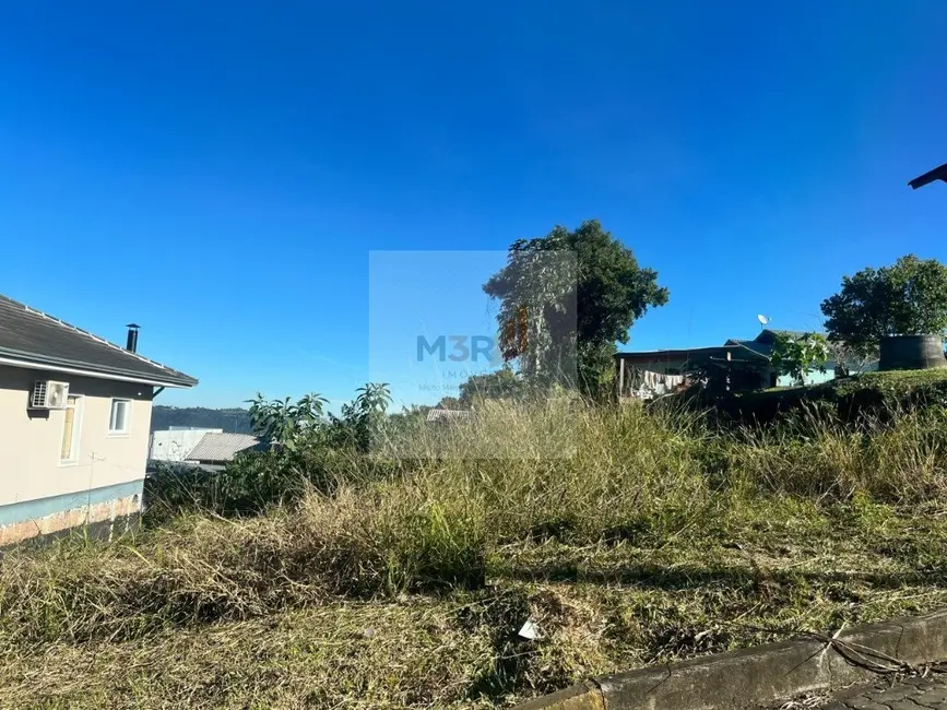 Foto 1 de Terreno / Lote à venda, 458m2 em Nova Petropolis - RS