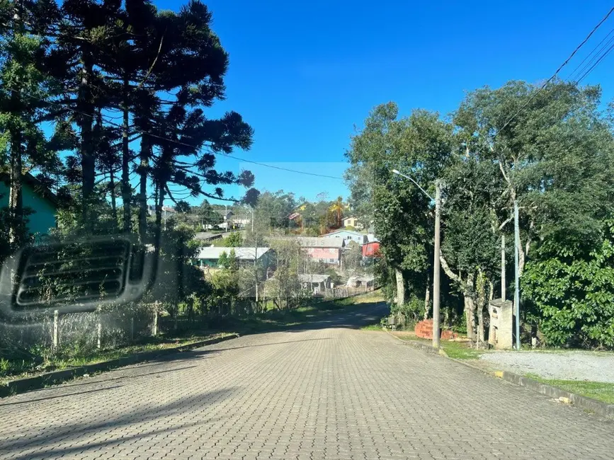 Foto 4 de Terreno / Lote à venda, 458m2 em Nova Petropolis - RS
