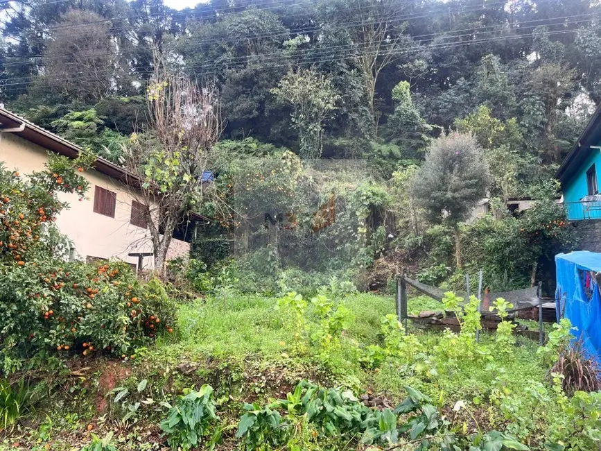 Terreno / Lote à venda, 386m2 em Nova Petropolis - RS - imagem 1 Foto 1 de Terreno / Lote à venda, 386m2 em Nova Petropolis - RS