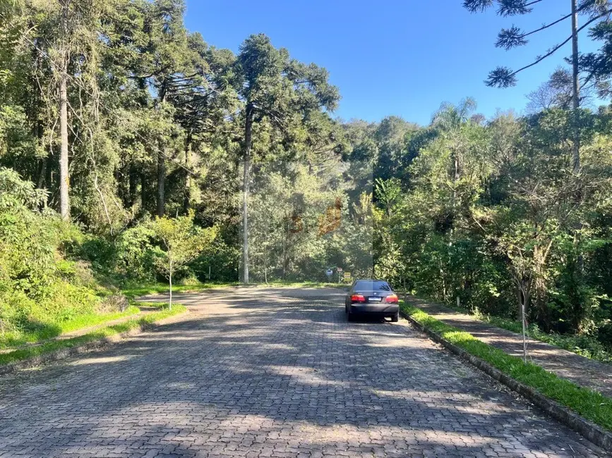 Terreno / Lote à venda, 378m2 em Nova Petropolis - RS - imagem 7 Foto 7 de Terreno / Lote à venda, 378m2 em Nova Petropolis - RS