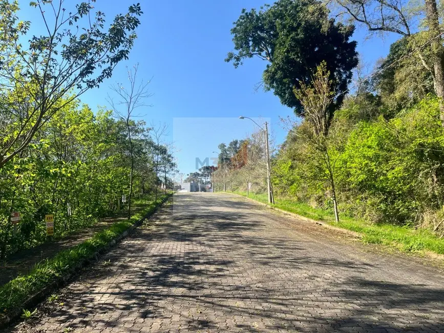 Terreno / Lote à venda, 378m2 em Nova Petropolis - RS - imagem 6 Foto 6 de Terreno / Lote à venda, 378m2 em Nova Petropolis - RS