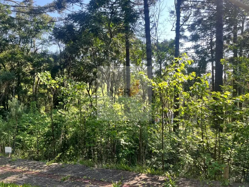 Terreno / Lote à venda, 378m2 em Nova Petropolis - RS - imagem 2 Foto 2 de Terreno / Lote à venda, 378m2 em Nova Petropolis - RS