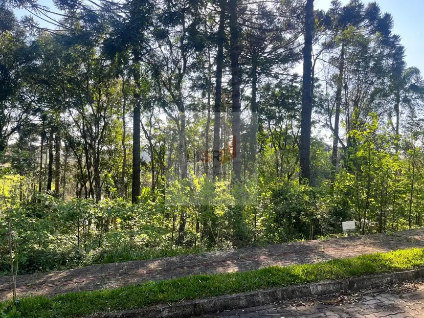 Terreno / Lote à venda, 378m2 em Nova Petropolis - RS - imagem 1 Foto 1 de Terreno / Lote à venda, 378m2 em Nova Petropolis - RS