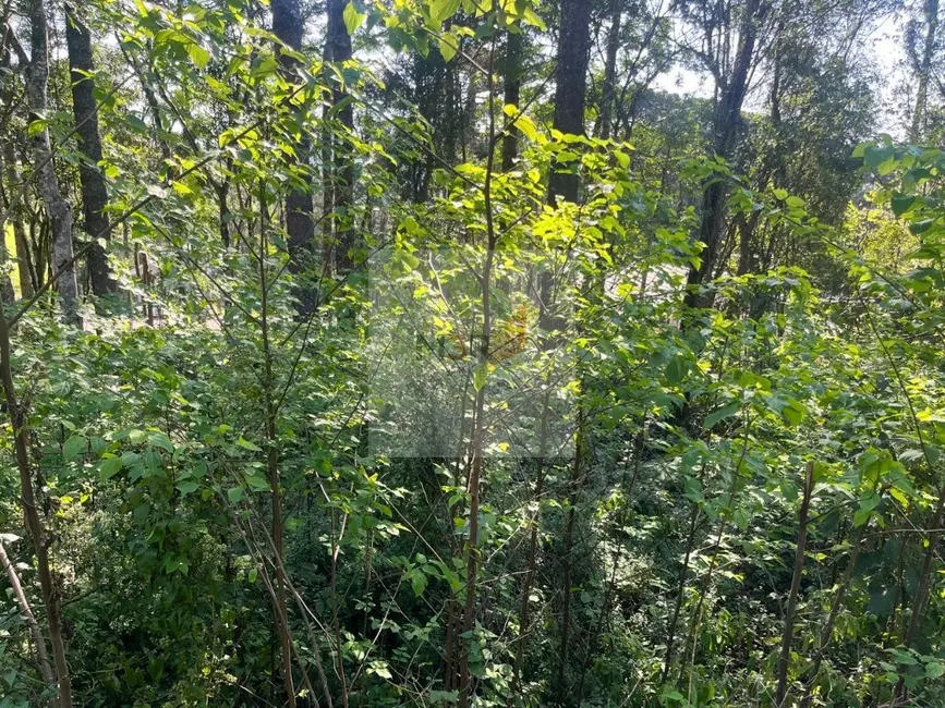 Terreno / Lote à venda, 378m2 em Nova Petropolis - RS - imagem 3 Foto 3 de Terreno / Lote à venda, 378m2 em Nova Petropolis - RS