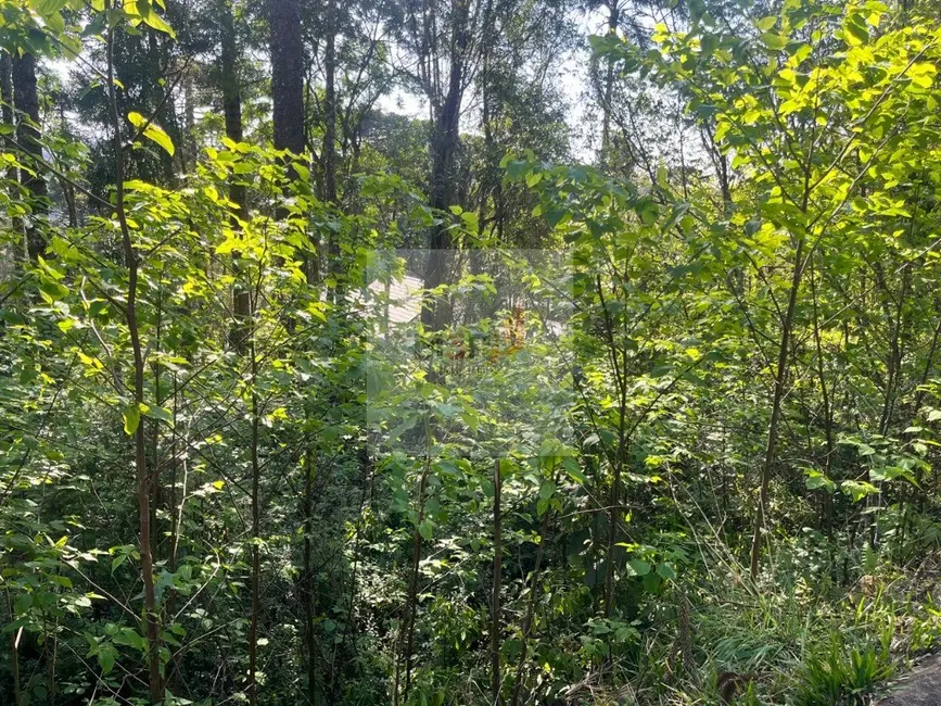 Terreno / Lote à venda, 378m2 em Nova Petropolis - RS - imagem 4 Foto 4 de Terreno / Lote à venda, 378m2 em Nova Petropolis - RS