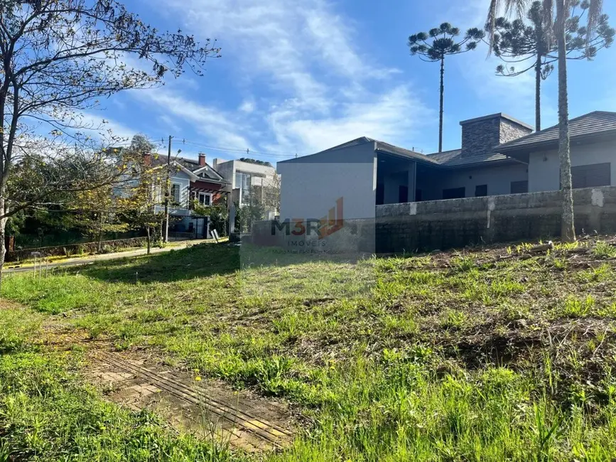 Foto 3 de Terreno / Lote à venda, 403m2 em Nova Petropolis - RS