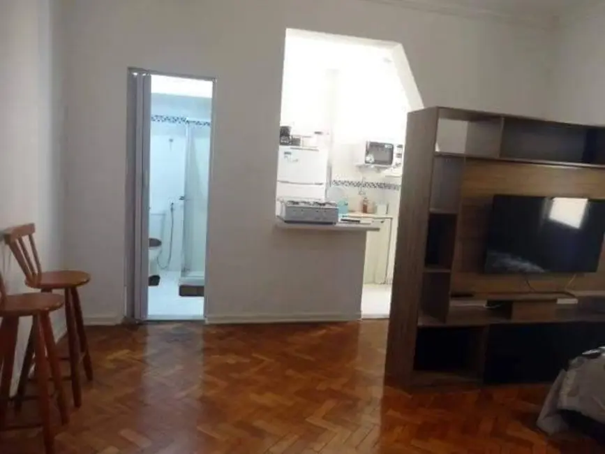 Apartamento com 1 quarto para alugar, 28m2 em Catete, Rio De Janeiro - RJ - imagem 3 Foto 3 de Apartamento com 1 quarto para alugar, 28m2 em Catete, Rio De Janeiro - RJ