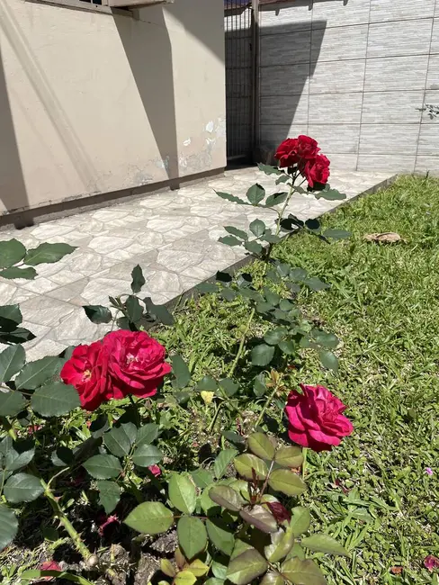 Casa com 2 quartos à venda, 137m2 em Olaria, Canoas - RS - imagem 6 Foto 6 de Casa com 2 quartos à venda, 137m2 em Olaria, Canoas - RS